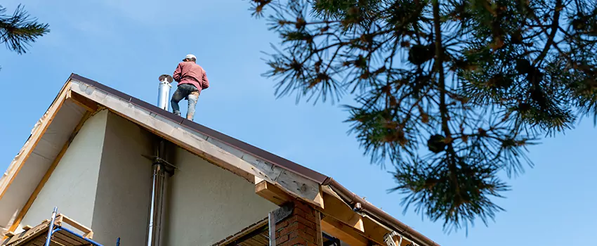 Birds Removal Contractors from Chimney in Lincoln, NE