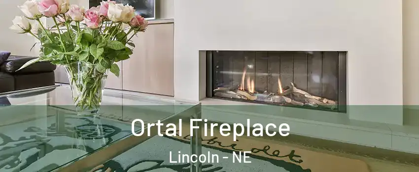 Ortal Fireplace Lincoln - NE